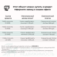 Малое фото - 3–комнатная квартира в тихом центре — 50