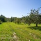 Малое фото - Продается участок в 18 км от МКАД д. Мартиновичи — 16