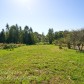 Малое фото - Продается участок в 18 км от МКАД д. Мартиновичи — 18