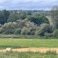 Малое фото - Продается дом в д. Дудичи 29 км от МКАД — 22