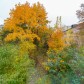 Малое фото - Двухкомнатная квартира в Первомайском районе — 32