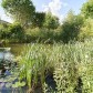 Малое фото - Продается коттедж рядом с водохранилищем в деревне Чики — 100