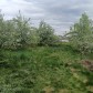 Малое фото - Жилой дом в д.Даниловичи 25 км от Минска — 22