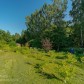 Малое фото - Дача 25км от МКАД, рядом с Заславлем! — 10