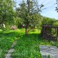 Малое фото - Продажа дачи ст Пеленг — 24