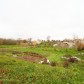 Малое фото - Продается земельный участок в Щомыслицком сельсовете д. Новая Вёска — 6
