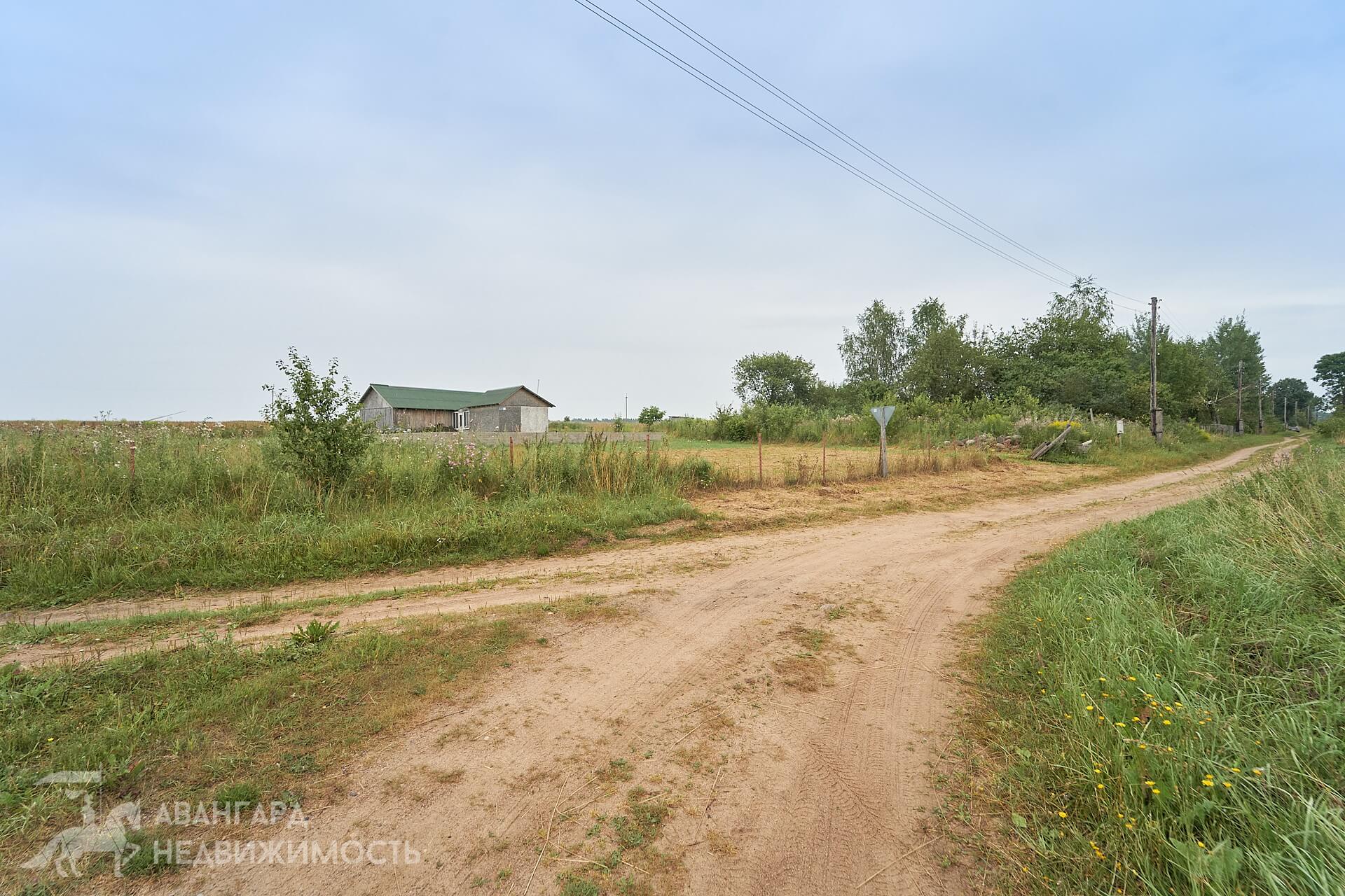  24,99сот., Докшицкий (Докшицкий р-н, д. Новая Вилейка, ул. Дачная)