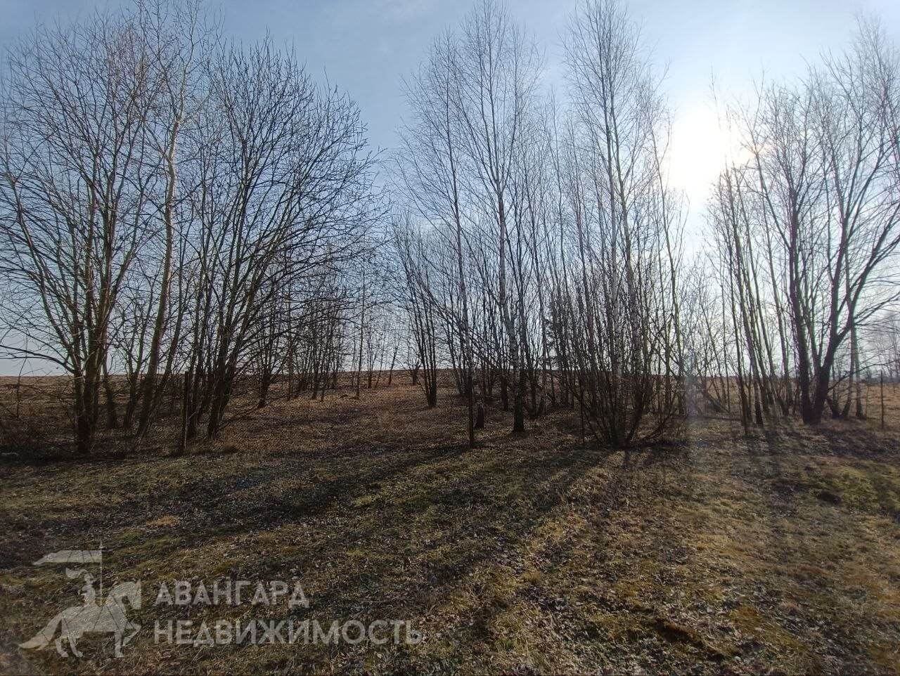 52.3м.кв. (участок 25сот.), Слобода (аг. Слобода, ул. Заречная)