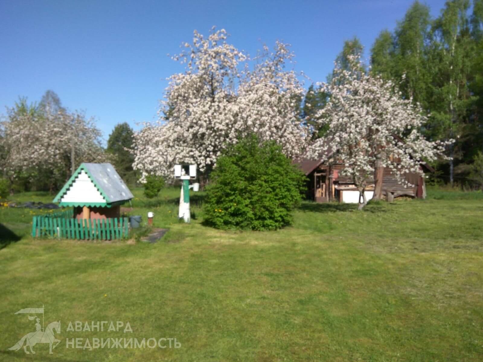  60м.кв. (участок 25сот.), Заболотье (д. Заболотье)