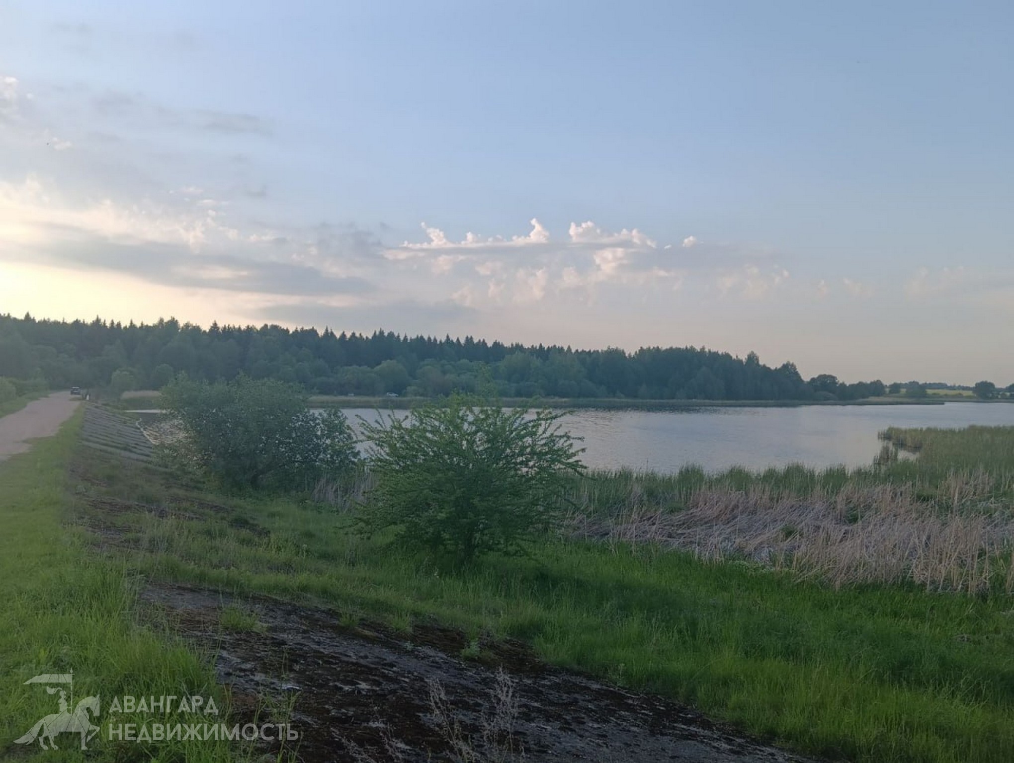  39.5м.кв. (участок 7,07сот.), Даниловичи (аг. Даниловичи, ул. Центральная)