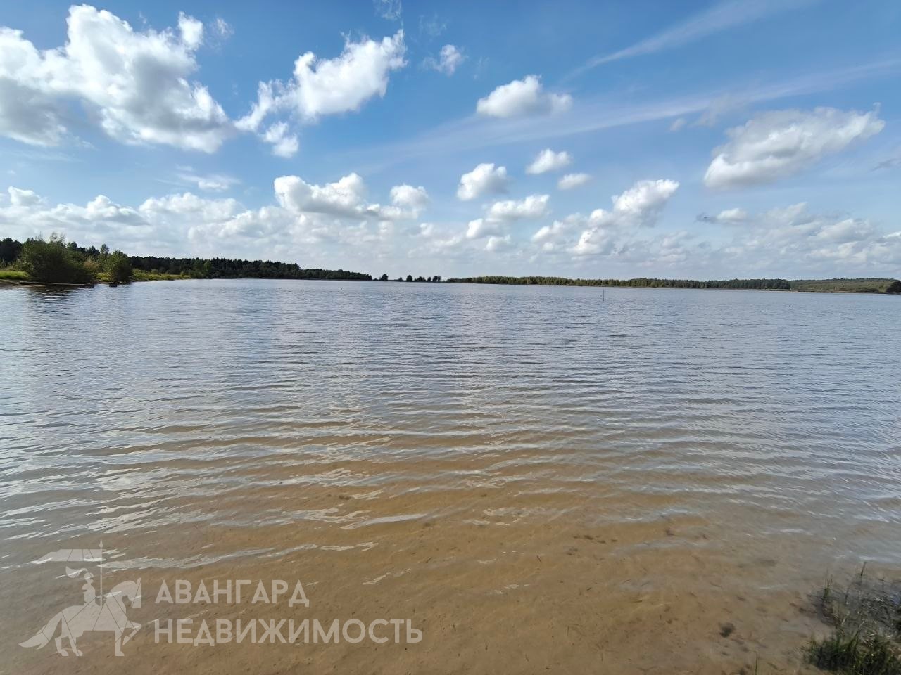  54.9м.кв. (участок 25сот.), Старина (д. Старина, ул. Центральная)